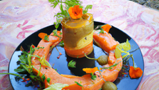 Timbale de saumon aux cuisse de grnouilles