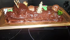 Bûche chocolat marron