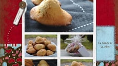 Madeleines à la pâte de speculoos