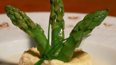 Petit flan d'asperges de Blaye et émulsion de noisettes
