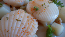 Normandises de Saint-Jacques