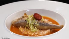Grondin au chorizo