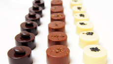 Assortiments de bonbons en chocolat épicés noir, blanc, lait