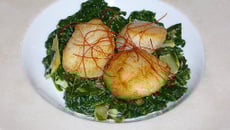 Coquilles Saint-Jacques sur Lit d'Epinards et Blettes