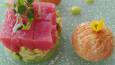 Thon rouge et mousse d'avocat