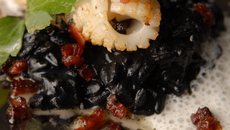 Chipirons à la plancha, riz acquarello à l'encre de seiche, émulsion de parmesan Reggiano
