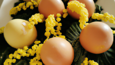Œufs mimosa express
