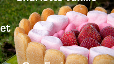 Charlotte vanille et ses fraises ...