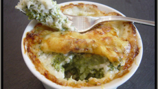 Gratin de brocolis au saumon