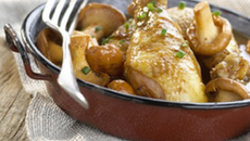 Fricassée de poulet fermier des Landes aux girolles
