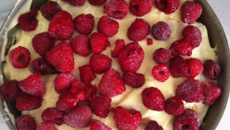 Délicieux tiramisu aux framboises