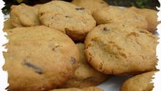 Cookies abricot coco & choco