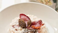 Risotto aux morilles et magret de canard séché