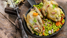 Pigeons ramiers aux petits pois