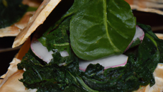 Millefeuille de tacaud aux épinards et aux blettes