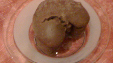 Moelleux chocoramel aux pignons cœurs fondants chocolat