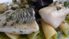 Filet de Saint Pierre et grenailles