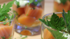 Verrines saumon orties