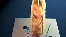 Illusion d'un Kebab de Saint-Jacques et son spray