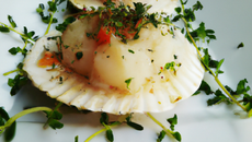 Tartare de coquilles saint-jacques fumé à la brise de thym