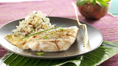 Filet de lieu noir au curry