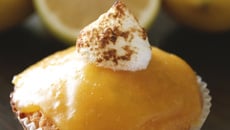 Cupcakes au citron meringués