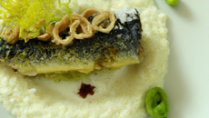Espuma de sardines croustillant de gomasio parmesan