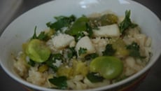 Risotto aux féves et calamars