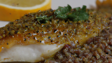 Aile de raie à la moutarde et aux lentilles