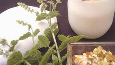 Yaourt de chèvre au miel de fruits secs, épicé