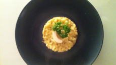 Pâtotto champignon de Paris, speck et parmesan