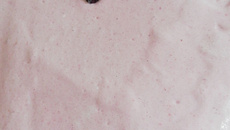 Gâteau framboises citron