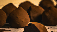 Truffes au chocolat inratables