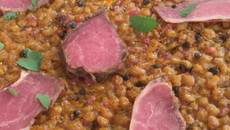 Carpaccio de pied de cochon, lentilles et râpée de foie cru