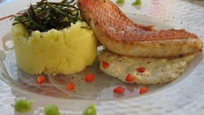 Filet de vivanneau accompagnée de sa purée au wasabi