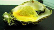 Huîtres Pochées et Sabayon Vanille/Estragon, Caviar de Fenouil Citronné