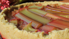 Gâteau à la rhubarbe rapide