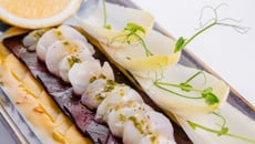 Carpaccios de saint-jacques