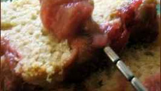 Cake à la rhubarbe et son coulis