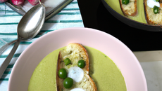 Velouté de petits pois frais à la menthe fraîche et à l'huile d'olive tartine grillée au chèvre frais et radis