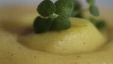 Petite Purée Magique