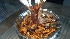 Côtelettes d'agneaux aux trois poivres