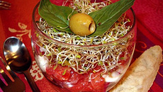 Verrine à l'italienne