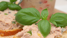 Rillettes de Thon au basilic frais