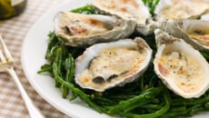 Huîtres gratinées sauce Mornay