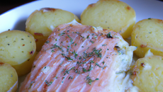 Gratin de pommes de terre au saumon