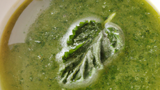 Délicieuse soupe aux orties