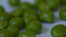 Le petit pois dans tous ses états