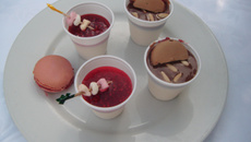 Panna cotta noix de coco malibu