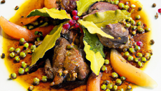 Pigeon aux baies de genièvre